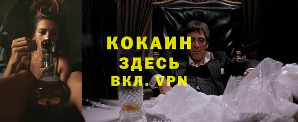 COCAINE Богородицк